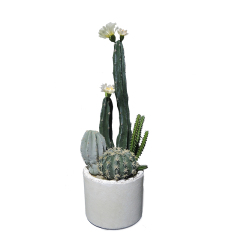 40CM Faux Potted Cactus Plant with Flower,40CM Faux Potted Cactus Plant with Flower
