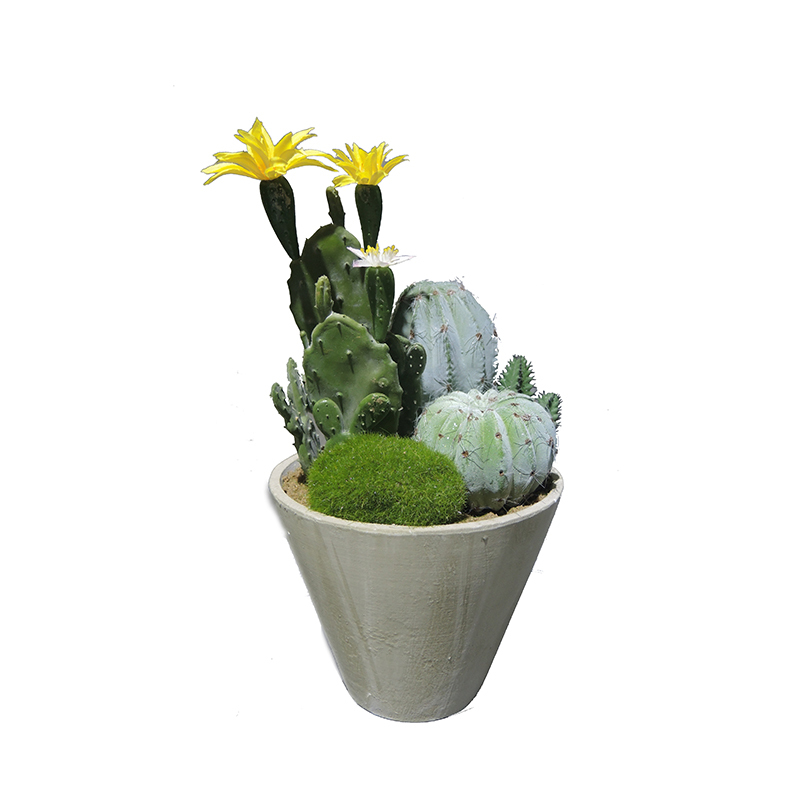 26CM Small Potted Cactus Plant with Yellow Flower,26CM Small Potted Cactus Plant with Yellow Flower
