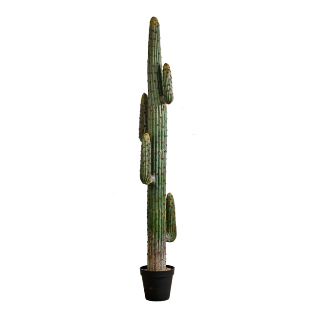 173CM 225CM Realistic Fake Saguaro Cactus,173CM 225CM Realistic Fake Saguaro Cactus