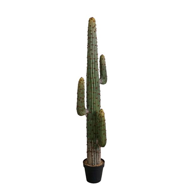 173CM 225CM Realistic Fake Saguaro Cactus,173CM 225CM Realistic Fake Saguaro Cactus