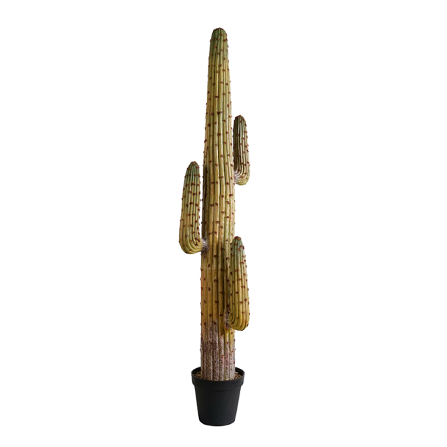 173CM 225CM Realistic Fake Saguaro Cactus,173CM 225CM Realistic Fake Saguaro Cactus