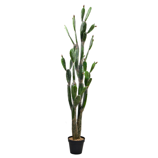 140CM 200CM Faux Cactus Plants,140CM 200CM Faux Cactus Plants