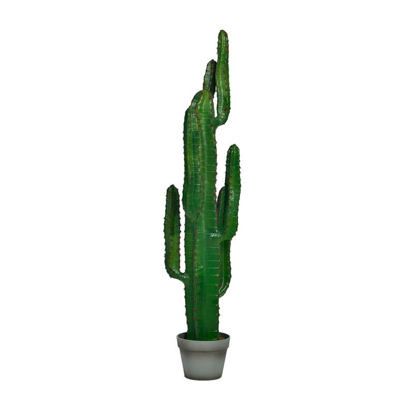 70-195CM Faux Cactus Plants in Plastic Grey Pots,70-195CM Faux Cactus Plants in Plastic Grey Pots