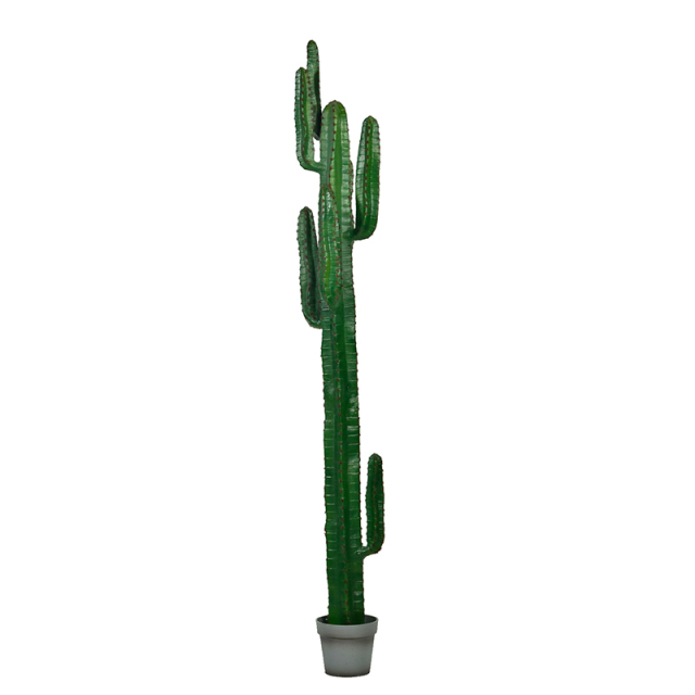 70-195CM Faux Cactus Plants in Plastic Grey Pots,70-195CM Faux Cactus Plants in Plastic Grey Pots