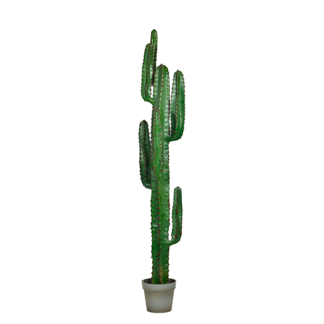 70-195CM Faux Cactus Plants in Plastic Grey Pots,70-195CM Faux Cactus Plants in Plastic Grey Pots