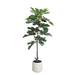100CM 120CM 160CM Realistic Faux Fig Trees,100CM 120CM 160CM Realistic Faux Fig Trees