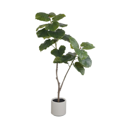 160CM Faux Ficus Umbellata Tree,160CM Faux Ficus Umbellata Tree