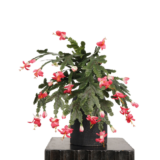 Faux Schlumbergera Truncata Flowers,Faux Schlumbergera Truncata Flowers