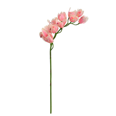 Faux Cymbidium Orchid Flower Stem,Faux Cymbidium Orchid Flower Stem
