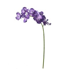 80CM Faux Silk Vanda Orchid Flowers,80CM Faux Silk Vanda Orchid Flowers
