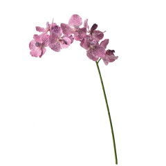 80CM Faux Silk Vanda Orchid Flowers,80CM Faux Silk Vanda Orchid Flowers