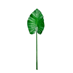 Faux PU Alocasia Leaves,Faux PU Alocasia Leaves