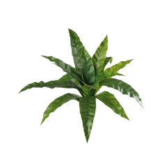 Faux Bird's Nest Fern Leaf (Asplenium Nidus Leaves),Faux Bird's Nest Fern Leaf (Asplenium Nidus Leaves)