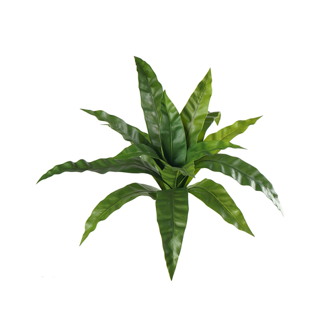 Faux Bird's Nest Fern Leaf (Asplenium Nidus Leaves),Faux Bird's Nest Fern Leaf (Asplenium Nidus Leaves)