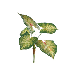 40CM Faux 5-Lobed Colocasia Leaves,40CM Faux 5-Lobed Colocasia Leaves