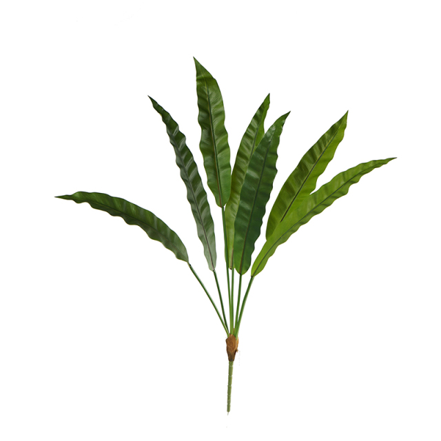 Faux Bird's Nest Fern Leaf (Asplenium Nidus Leaves),Faux Bird's Nest Fern Leaf (Asplenium Nidus Leaves)