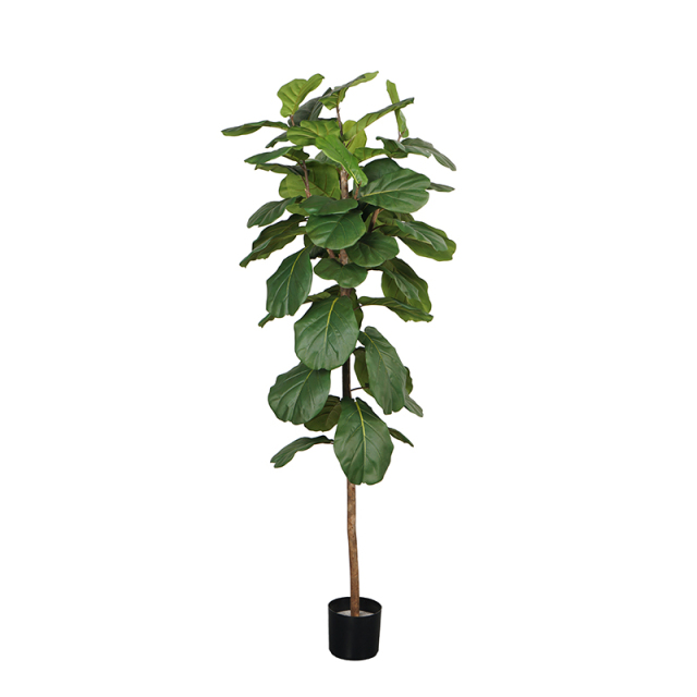 150CM-210CM Artificial Fiddle Leaf Fig Trees with Natural Trunks,150CM-210CM Artificial Fiddle Leaf Fig Trees with Natural Trunks
