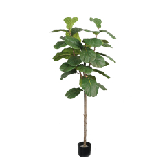 150CM-210CM Artificial Fiddle Leaf Fig Trees with Natural Trunks,150CM-210CM Artificial Fiddle Leaf Fig Trees with Natural Trunks