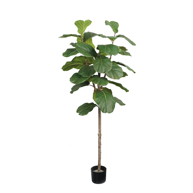 150CM-210CM Artificial Fiddle Leaf Fig Trees with Natural Trunks,150CM-210CM Artificial Fiddle Leaf Fig Trees with Natural Trunks