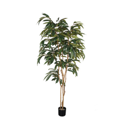 180CM 210CM Faux Fat Ficus Albi Trees with Natural Trunks,180CM 210CM Faux Fat Ficus Albi Trees with Natural Trunks