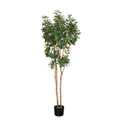 130CM 150CM 170CM Artificial Panda Ficus Trees,130CM 150CM 170CM Artificial Panda Ficus Trees