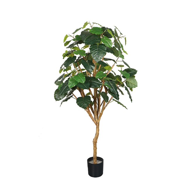 175CM 200CM Faux Ficus Umbellata Trees,175CM 200CM Faux Ficus Umbellata Trees