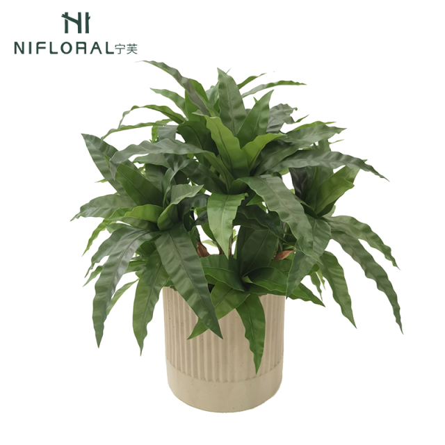 Real Touch Evergreen Faux Bird Nest Fern Potted Plants,Real Touch Evergreen Faux Bird Nest Fern Potted Plants
