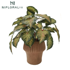 Lifelike Desktop Decor Variegated Color Potted Alocasia Plants,Lifelike Desktop Decor Variegated Color Potted Alocasia Plants