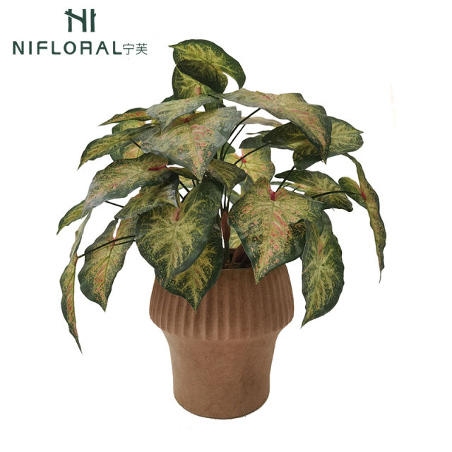 Lifelike Desktop Decor Variegated Color Potted Alocasia Plants,Lifelike Desktop Decor Variegated Color Potted Alocasia Plants