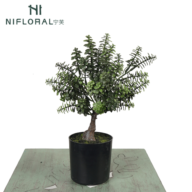 33CM Small Bonsai Eucalyptus Potted Table Plant,33CM Small Bonsai Eucalyptus Potted Table Plant