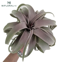 Realistic Faux Air Plants Flocking Surface Air Plant,Realistic Faux Air Plants Flocking Surface Air Plant