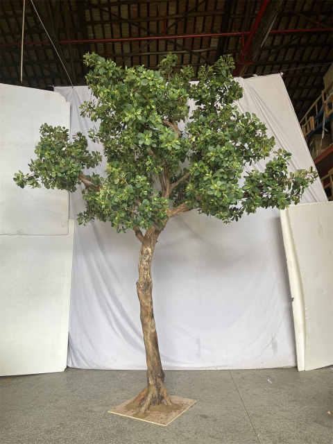 Custom Design 350CM Large Size Faux Panda Ficus Tree,Custom Design 350CM Large Size Faux Panda Ficus Tree