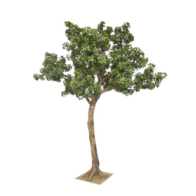 Custom Design 350CM Large Size Faux Panda Ficus Tree,Custom Design 350CM Large Size Faux Panda Ficus Tree