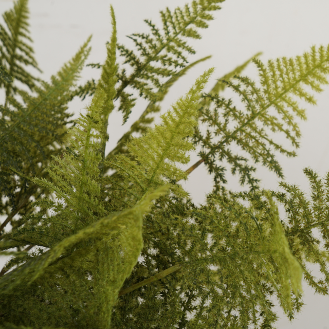 47CM Faux Greenery Asparagus Fern Leaf,47CM Faux Greenery Asparagus Fern Leaf