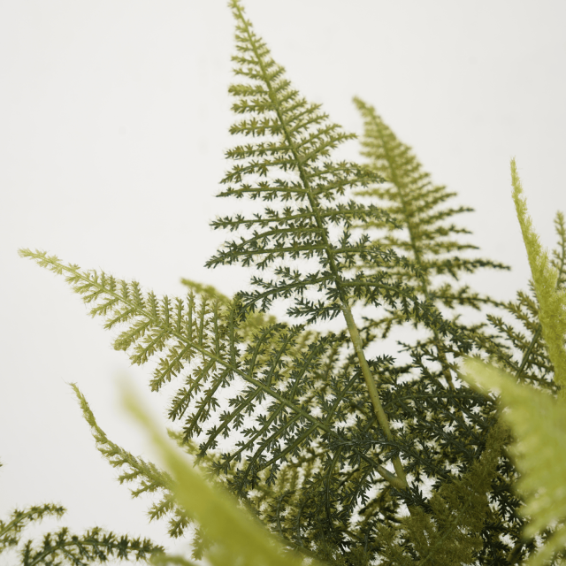 47CM Faux Greenery Asparagus Fern Leaf,47CM Faux Greenery Asparagus Fern Leaf
