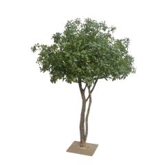 200CM Faux Pieris Tree in Natural Trunks for Landscaping Decor,200CM Faux Pieris Tree in Natural Trunks for Landscaping Decor