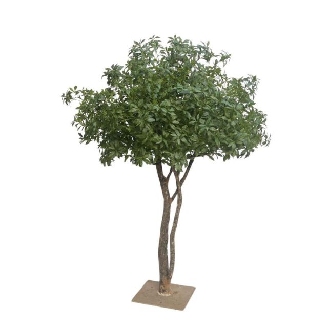 200CM Faux Pieris Tree in Natural Trunks for Landscaping Decor,200CM Faux Pieris Tree in Natural Trunks for Landscaping Decor