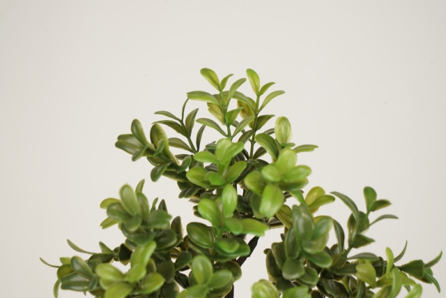 Small Size Faux Greenery Boxwood Leaves,Small Size Faux Greenery Boxwood Leaves