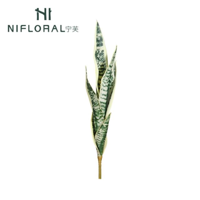 Faux Sansevieria Leaf Single Stem Snake Plants,Faux Sansevieria Leaf Single Stem Snake Plants