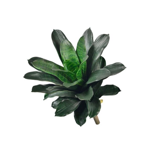 15-inch Screen-Printed Smooth Edge Pineapple Plants,15-inch Screen-Printed Smooth Edge Pineapple Plants