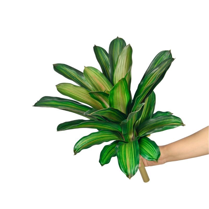 15-inch Screen-Printed Smooth Edge Pineapple Plants,15-inch Screen-Printed Smooth Edge Pineapple Plants