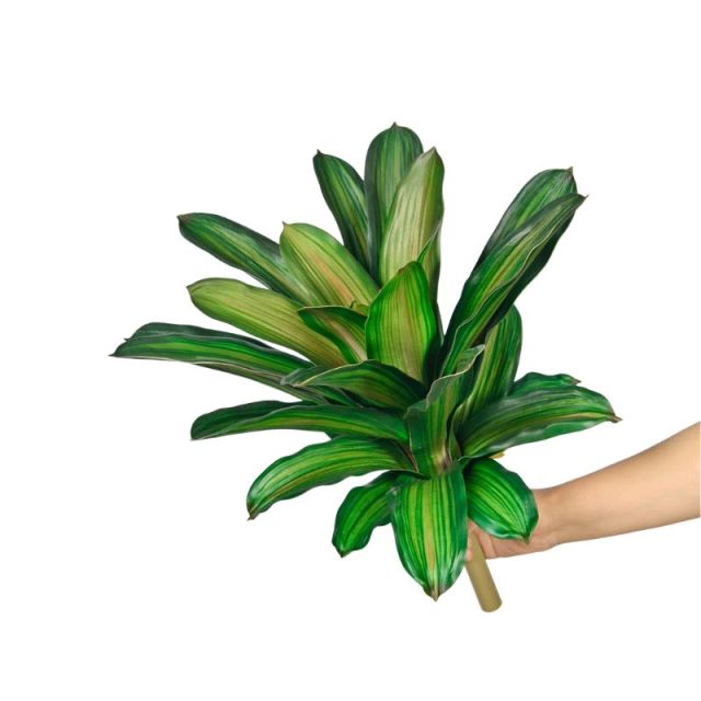 15-inch Screen-Printed Smooth Edge Pineapple Plants,15-inch Screen-Printed Smooth Edge Pineapple Plants