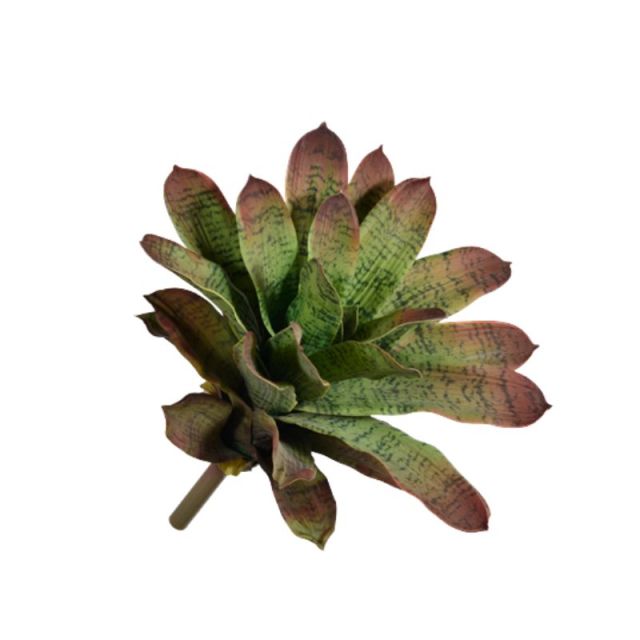 15-inch Screen-Printed Smooth Edge Pineapple Plants,15-inch Screen-Printed Smooth Edge Pineapple Plants