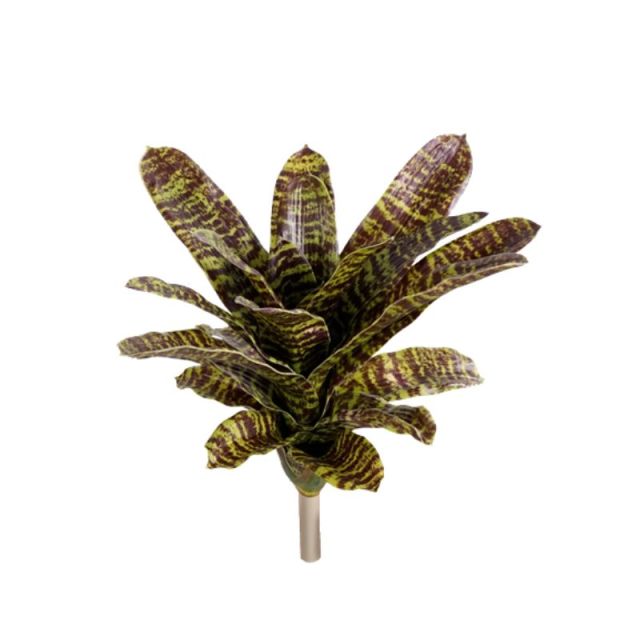 15 Inch Screen-Printed Pineapple Plants,15 Inch Screen-Printed Pineapple Plants