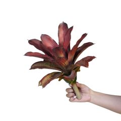 13-inch Screen-Printed Pineapple Plants with Serrated Edge,13-inch Screen-Printed Pineapple Plants with Serrated Edge