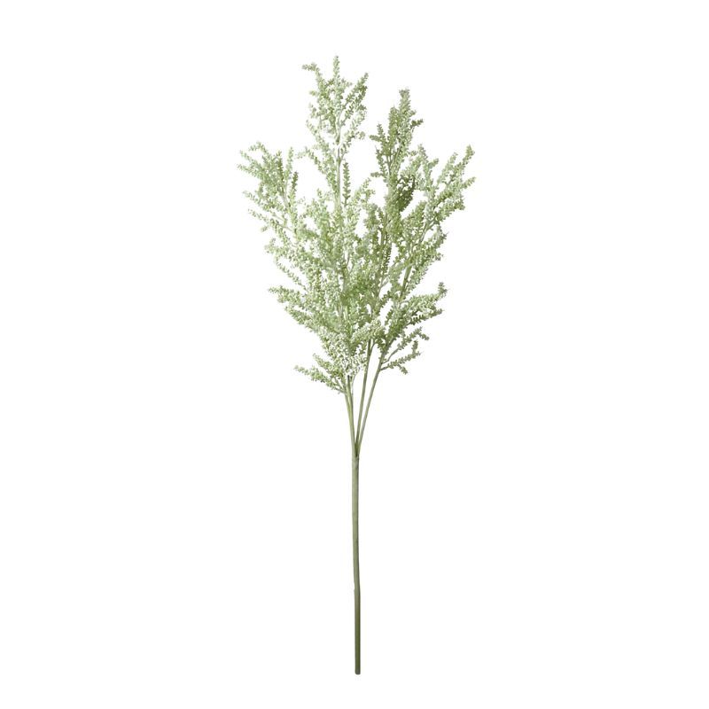 Faux 5 Forked Meliosma Shrub Plants,Faux 5 Forked Meliosma Shrub Plants
