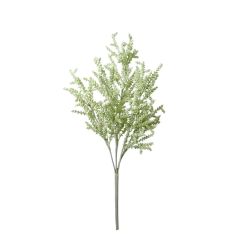 Faux 5 Forked Meliosma Shrub Plants,Faux 5 Forked Meliosma Shrub Plants