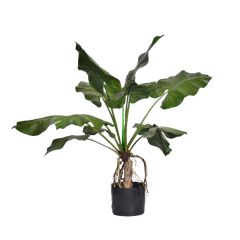 Custom Design PU Alocasia Leaves Potted Plants,Custom Design PU Alocasia Leaves Potted Plants