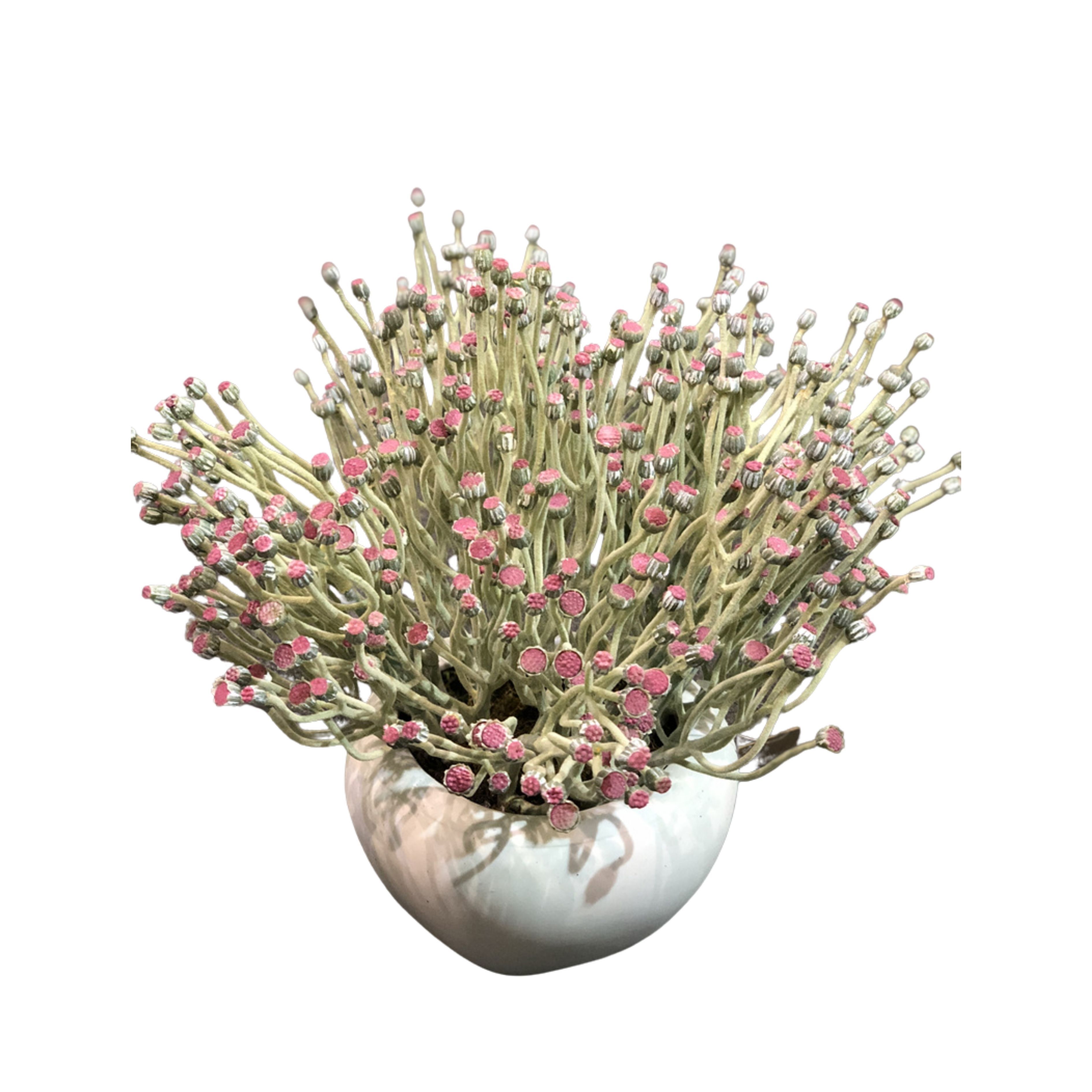 Indoor Desktop Faux Floral Decor Potted Plants,Indoor Desktop Faux Floral Decor Potted Plants