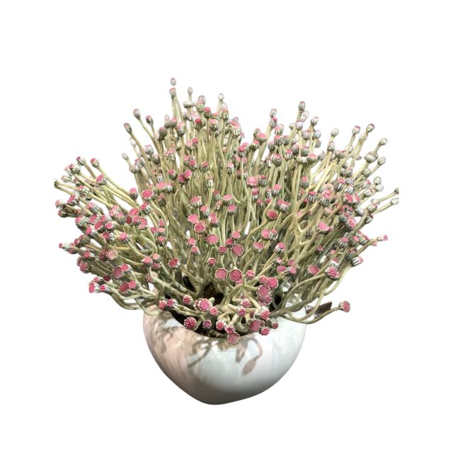 Indoor Desktop Faux Floral Decor Potted Plants,Indoor Desktop Faux Floral Decor Potted Plants